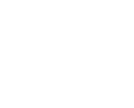 THE 
SILVER
MONKEY 